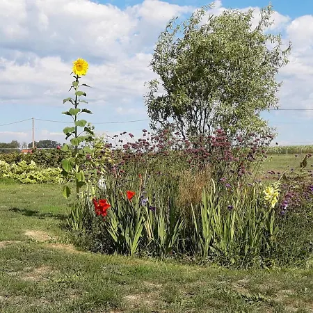 Hébergement de vacances La Besse,