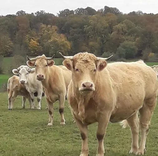 La Besse, Prázdninový dům Claudon