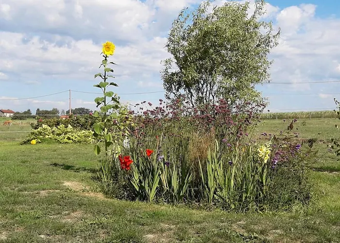 Prázdninový dům La Besse,